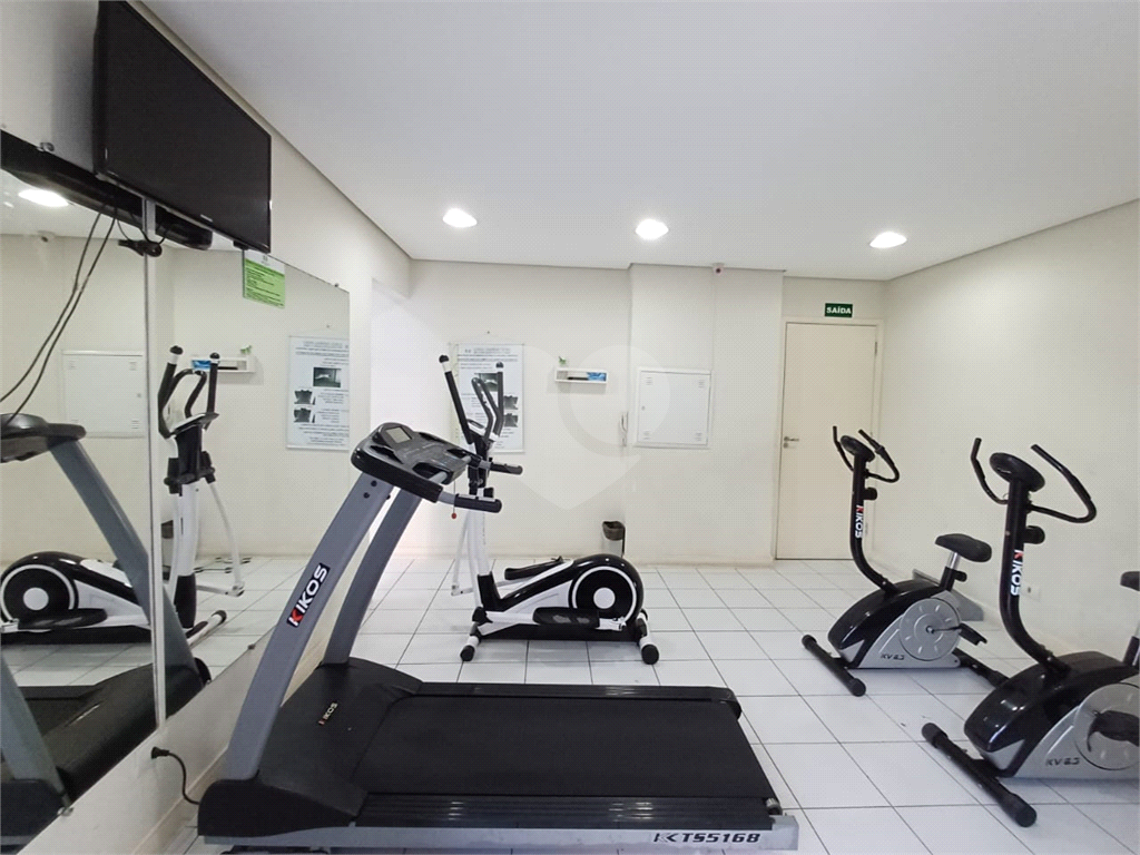 Apartamento na Vila Amália, Zona Norte com 3 dormitórios