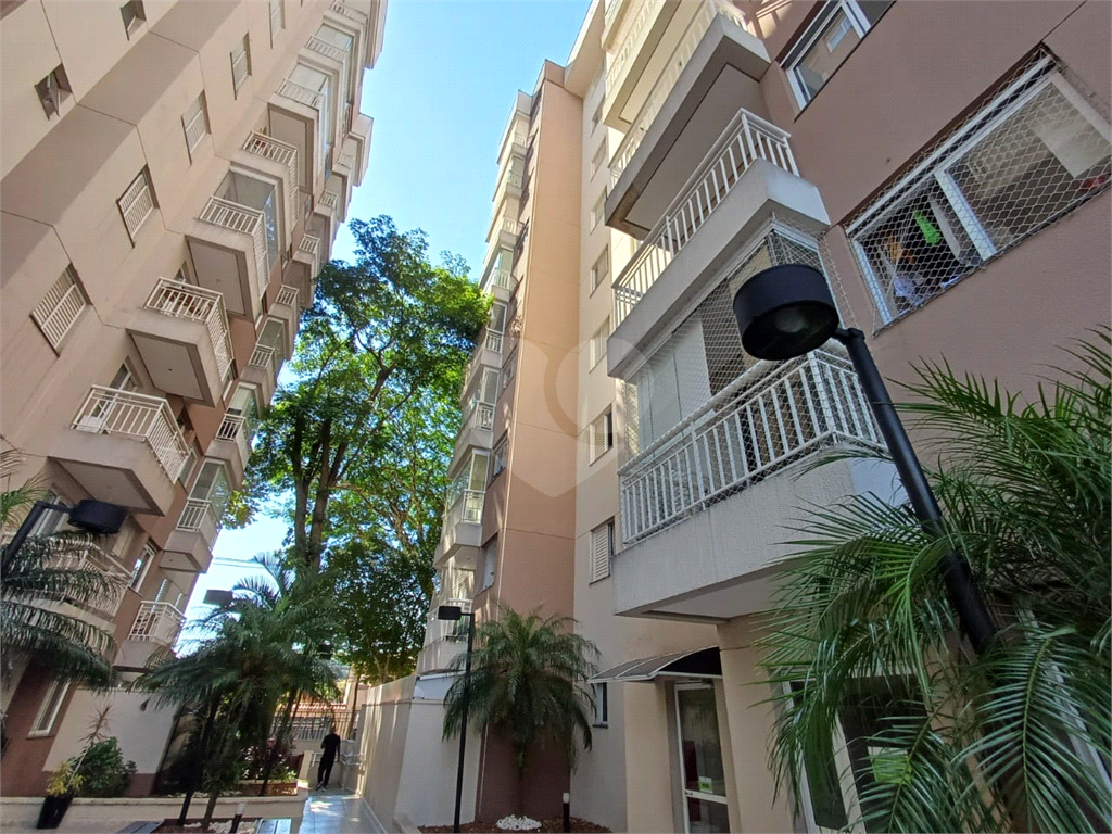 Apartamento na Vila Amália, Zona Norte com 3 dormitórios