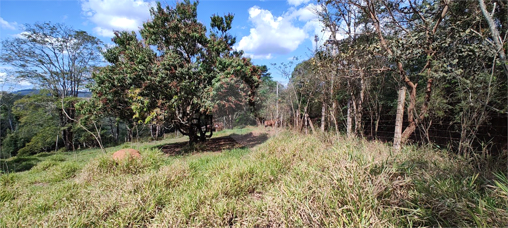 Fazenda à venda, 27400m² - Foto 16