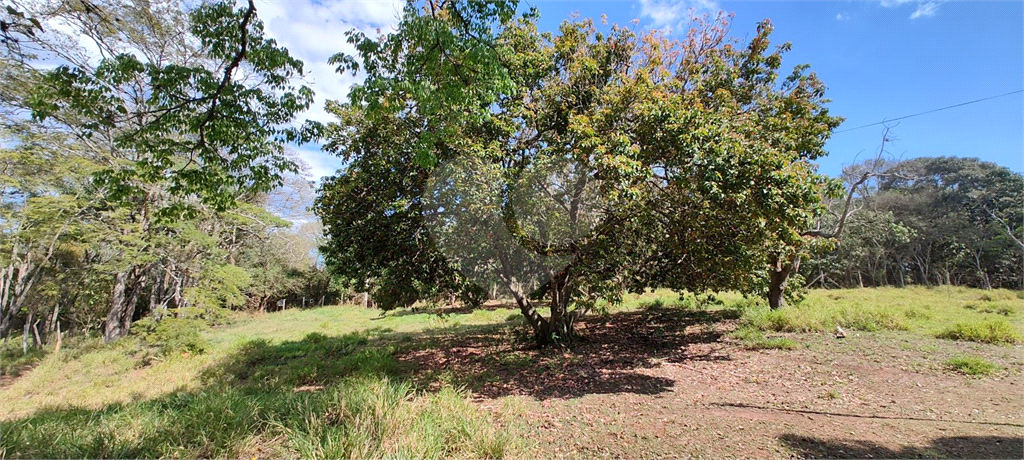 Fazenda à venda, 27400m² - Foto 27