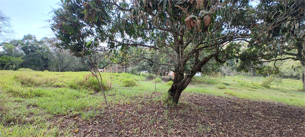 Fazenda à venda, 27400m² - Foto 10