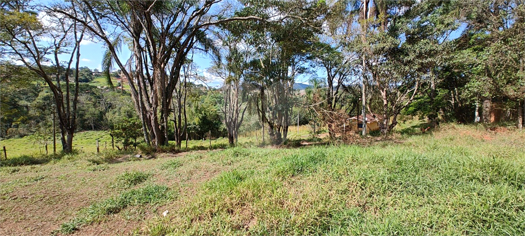 Fazenda à venda, 27400m² - Foto 6