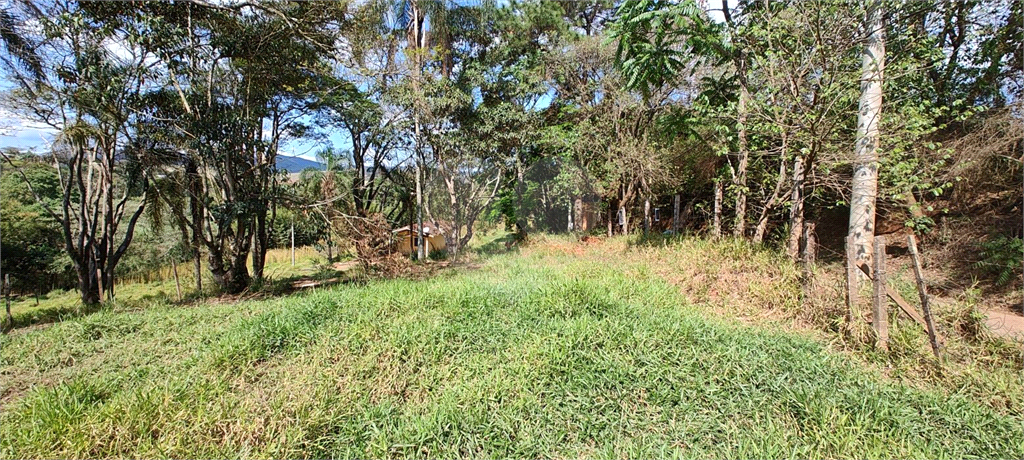 Fazenda à venda, 27400m² - Foto 7