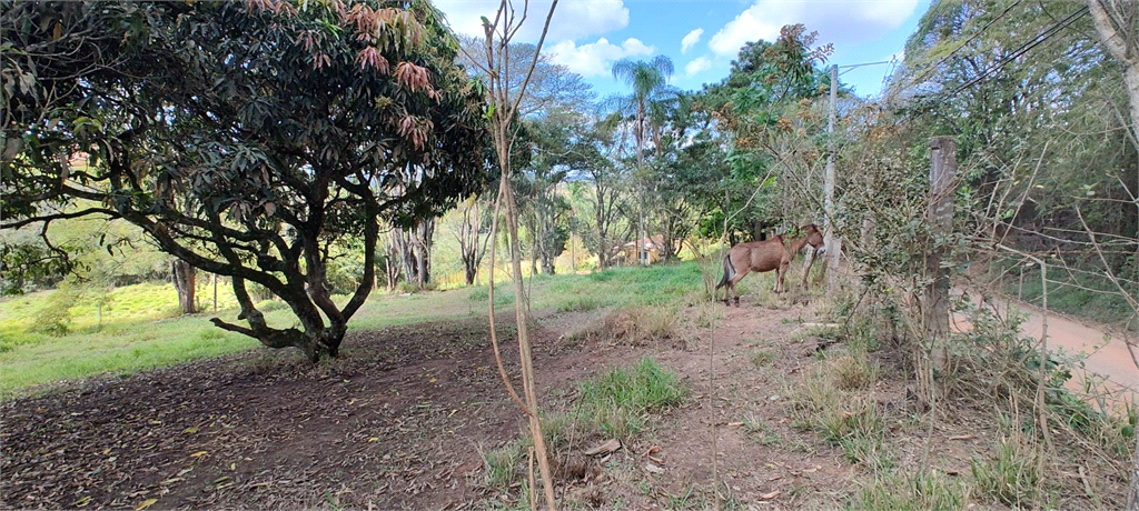 Fazenda à venda, 27400m² - Foto 8