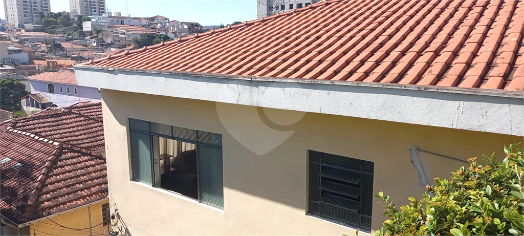 Terreno à venda com 4 quartos, 800m² - Foto 13