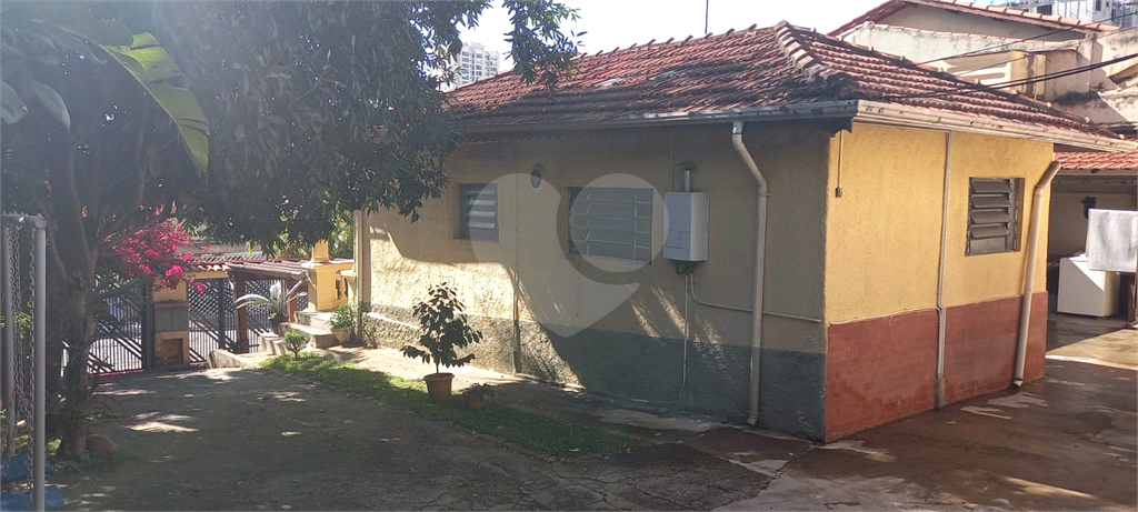 Terreno à venda com 4 quartos, 800m² - Foto 11