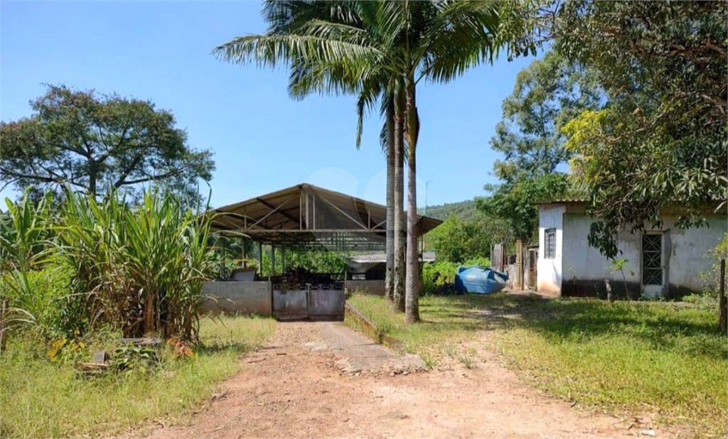 Fazenda à venda com 7 quartos, 20000m² - Foto 3