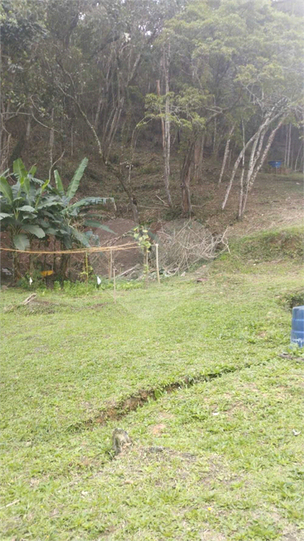 Chácara à venda com 3 quartos, 36000m² - Foto 8