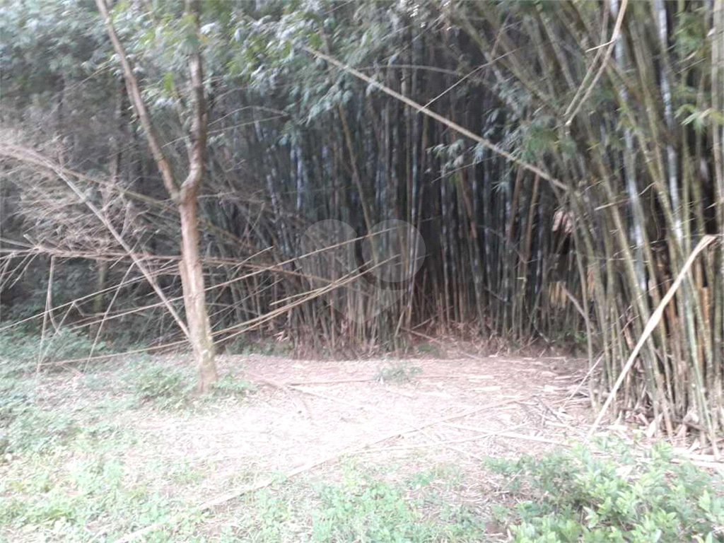 Terreno para alugar, 2000m² - Foto 22