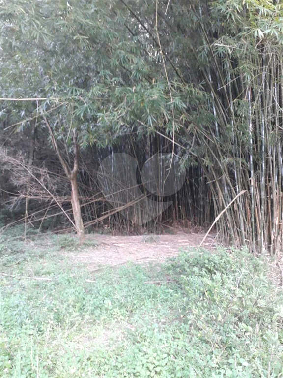 Terreno para alugar, 2000m² - Foto 19