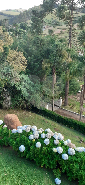Sítio à venda com 11 quartos, 1600m² - Foto 17