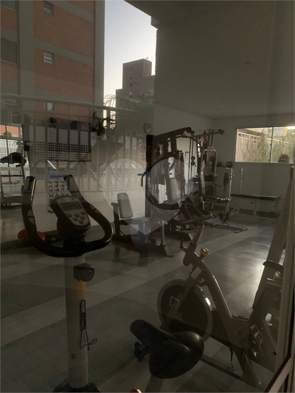 Apartamento 3 dormitórios no Sacomã