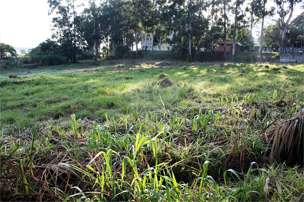 Terreno à venda e aluguel, 10400m² - Foto 10