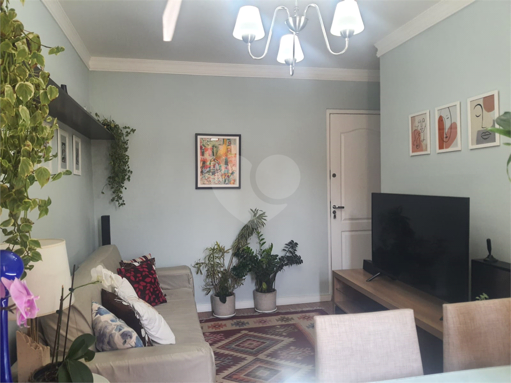 Apartamento Vila Romana, 