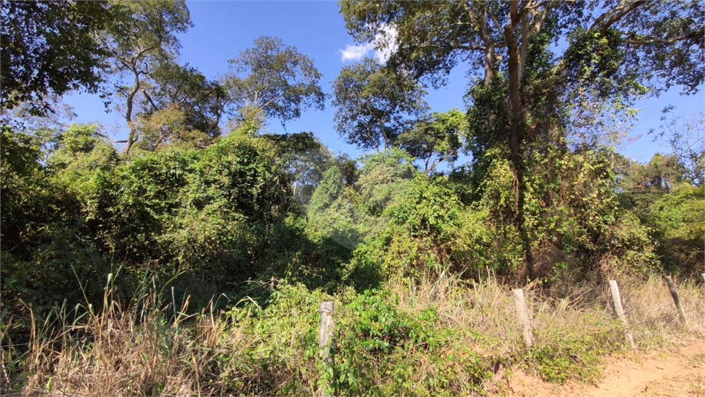 Rural/Sítio Distrito de Guarapiranga Ribeirão Bonito 