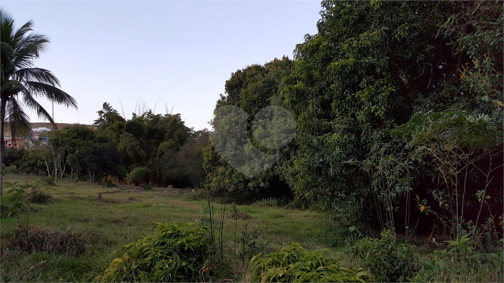 ÁREA EM CACHOEIRA PAULISTA