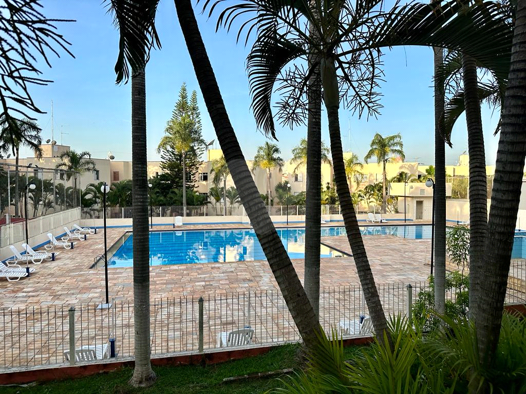 APARTAMENTO em PAULICÉIA