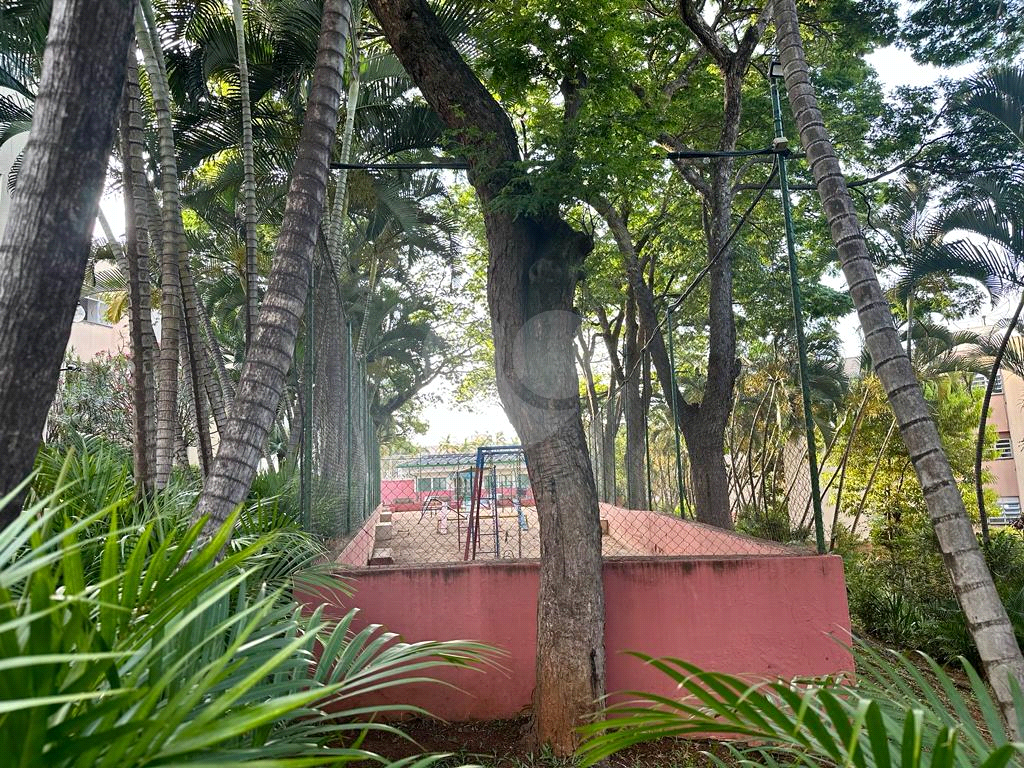 APARTAMENTO em PAULICÉIA