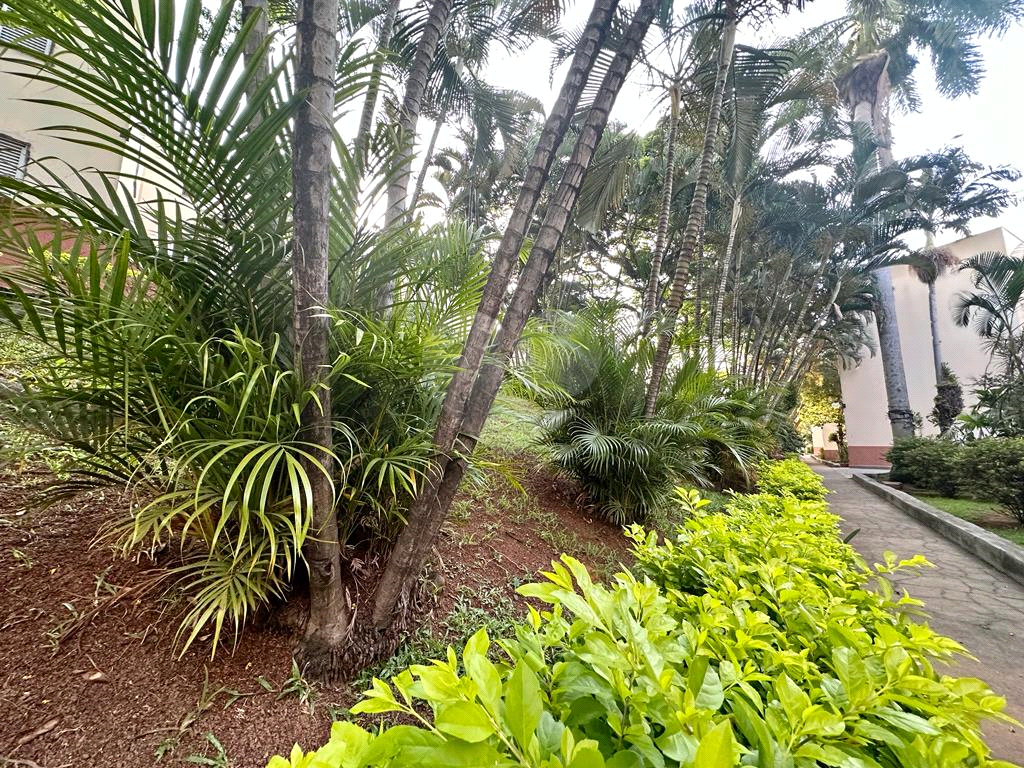 APARTAMENTO em PAULICÉIA