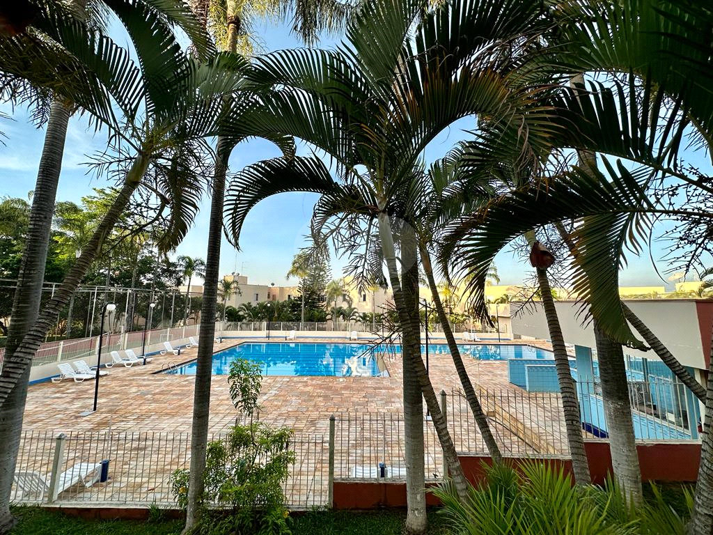 APARTAMENTO em PAULICÉIA