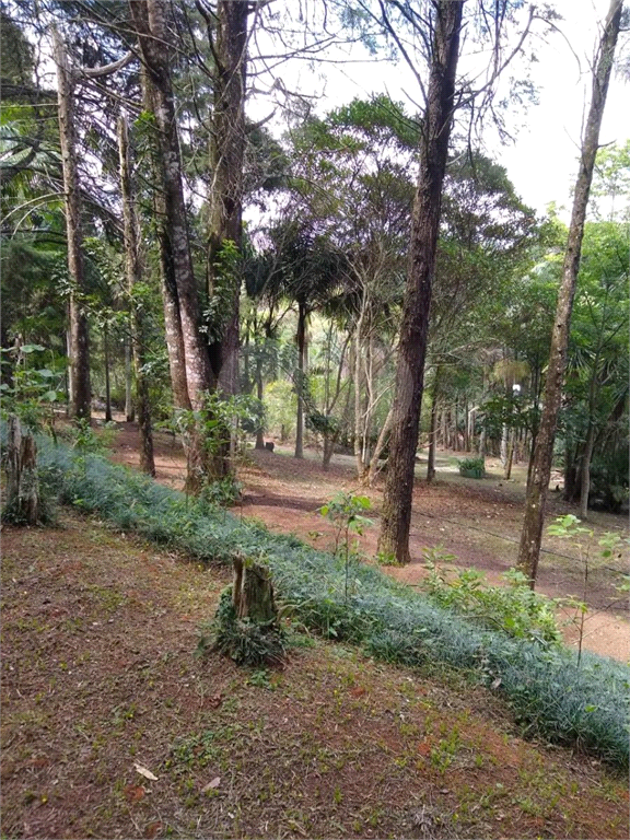 Sítio à venda com 3 quartos, 600m² - Foto 13