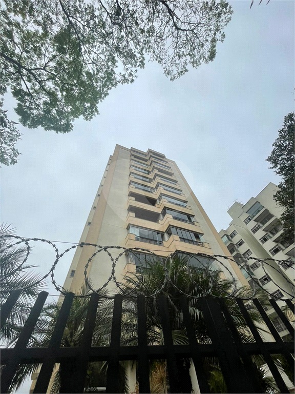 AP para locação- Vila Amelia