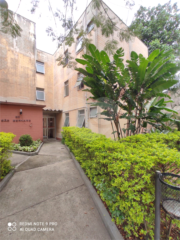 Excelente Apartamento na Vila Albertina na Avenida Maria Amália