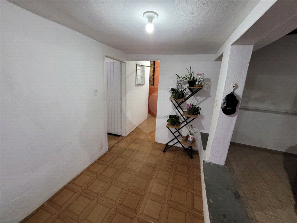 Chácara, 3 quartos, 891 m² - Foto 52