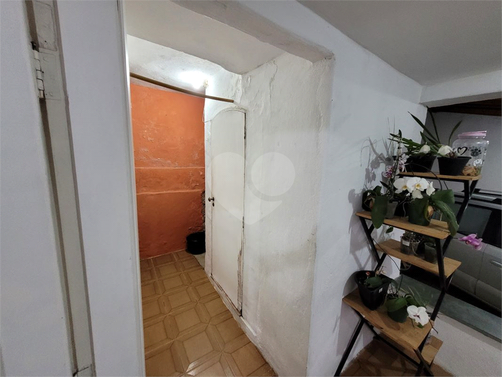 Chácara, 3 quartos, 891 m² - Foto 53