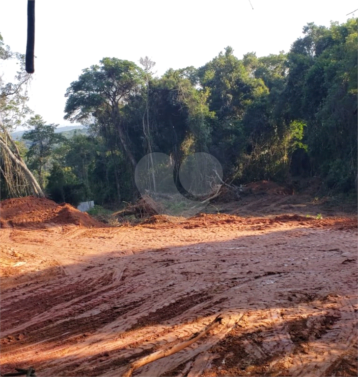 Terreno em Ibiúna