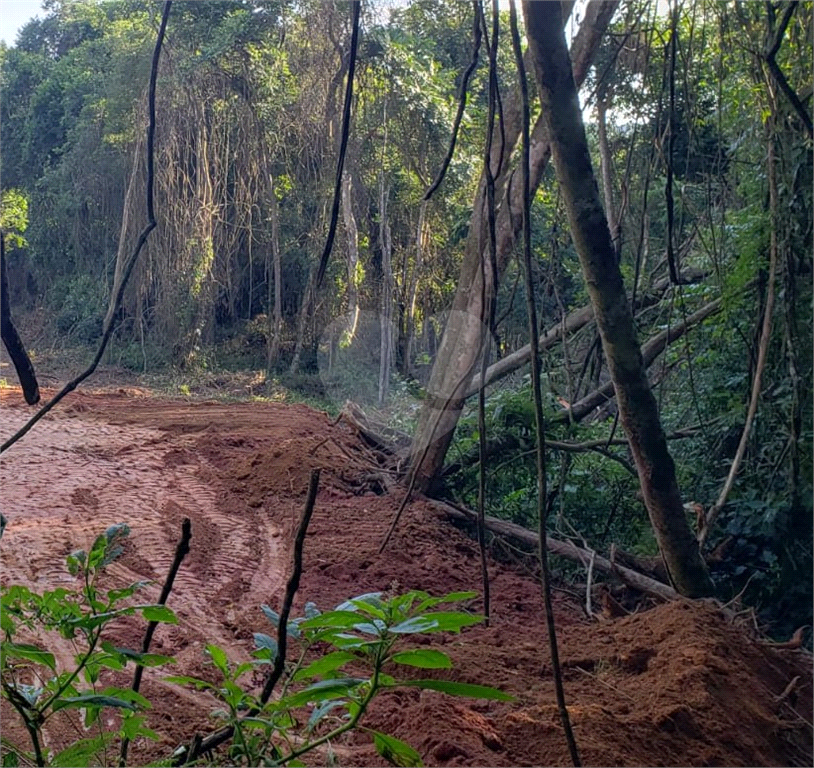 Terreno em Ibiúna