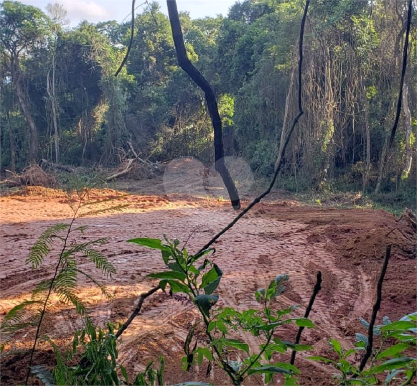 Terreno em Ibiúna