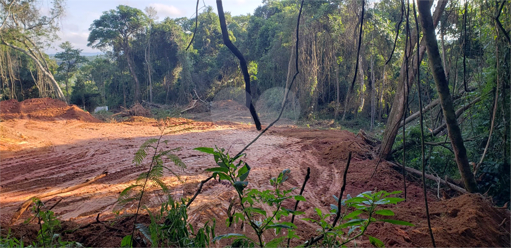 Terreno em Ibiúna