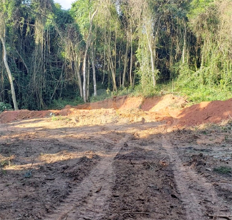 Terreno em Ibiúna