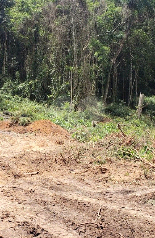 Terreno em Ibiúna