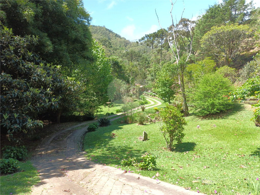 Sítio em Santo Antônio do Pinhal 