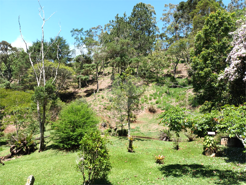Sítio em Santo Antônio do Pinhal 