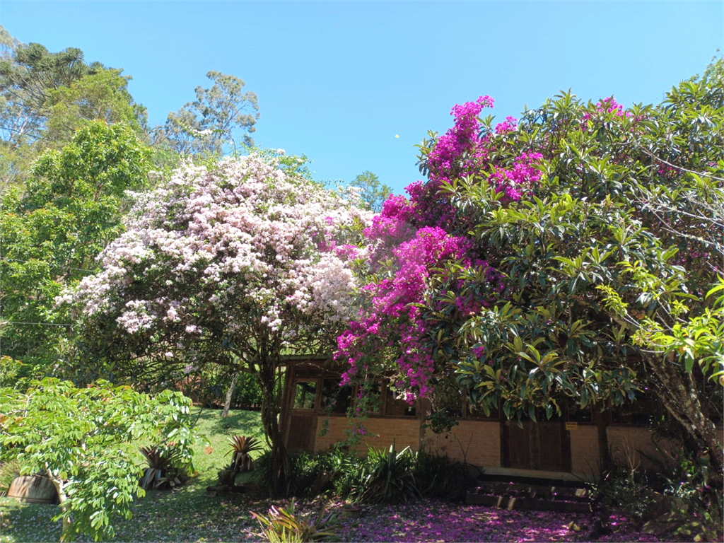 Sítio em Santo Antônio do Pinhal 