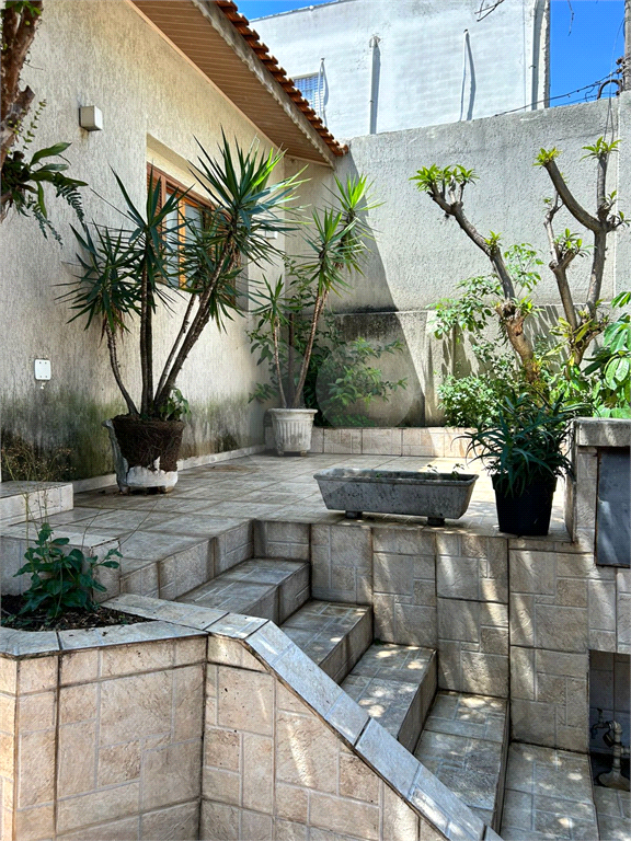 Casa Térrea Casa Verde 3 dormitórios 