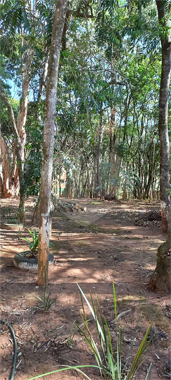 Fazenda à venda com 4 quartos, 400m² - Foto 21