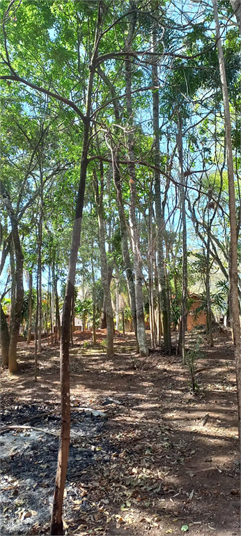 Fazenda à venda com 4 quartos, 400m² - Foto 30