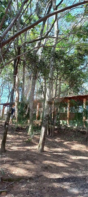 Fazenda à venda com 4 quartos, 400m² - Foto 19