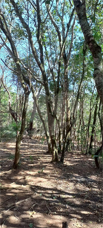 Fazenda à venda com 4 quartos, 400m² - Foto 26