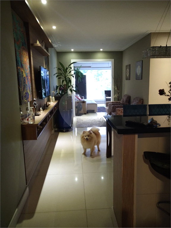 Apartamento com Varanda Gourmet na Vila Guilherme