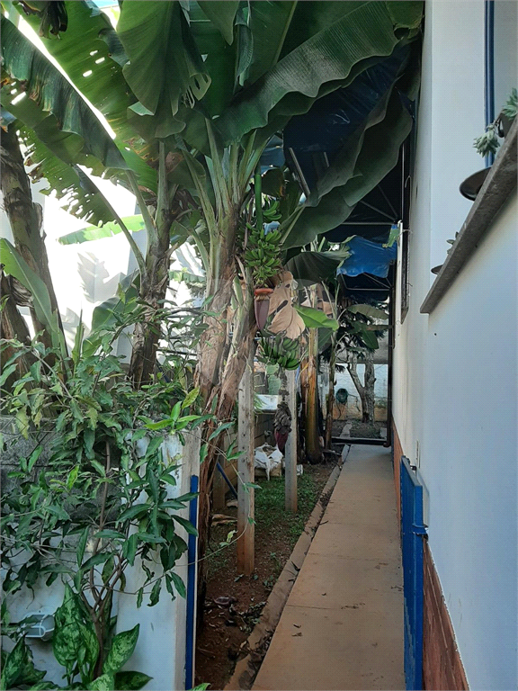 CASA TÉRREA em HORTO FLORESTAL