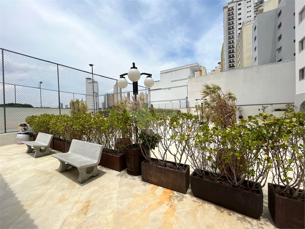 Apartamento - Venda - Santana