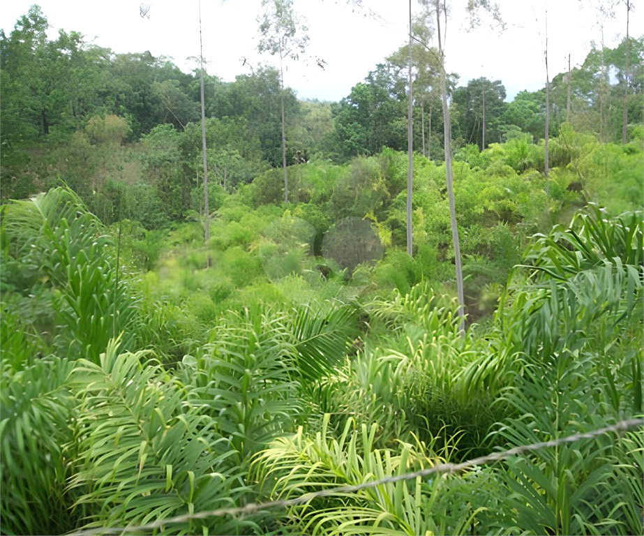 Fazenda à venda, 726000m² - Foto 5