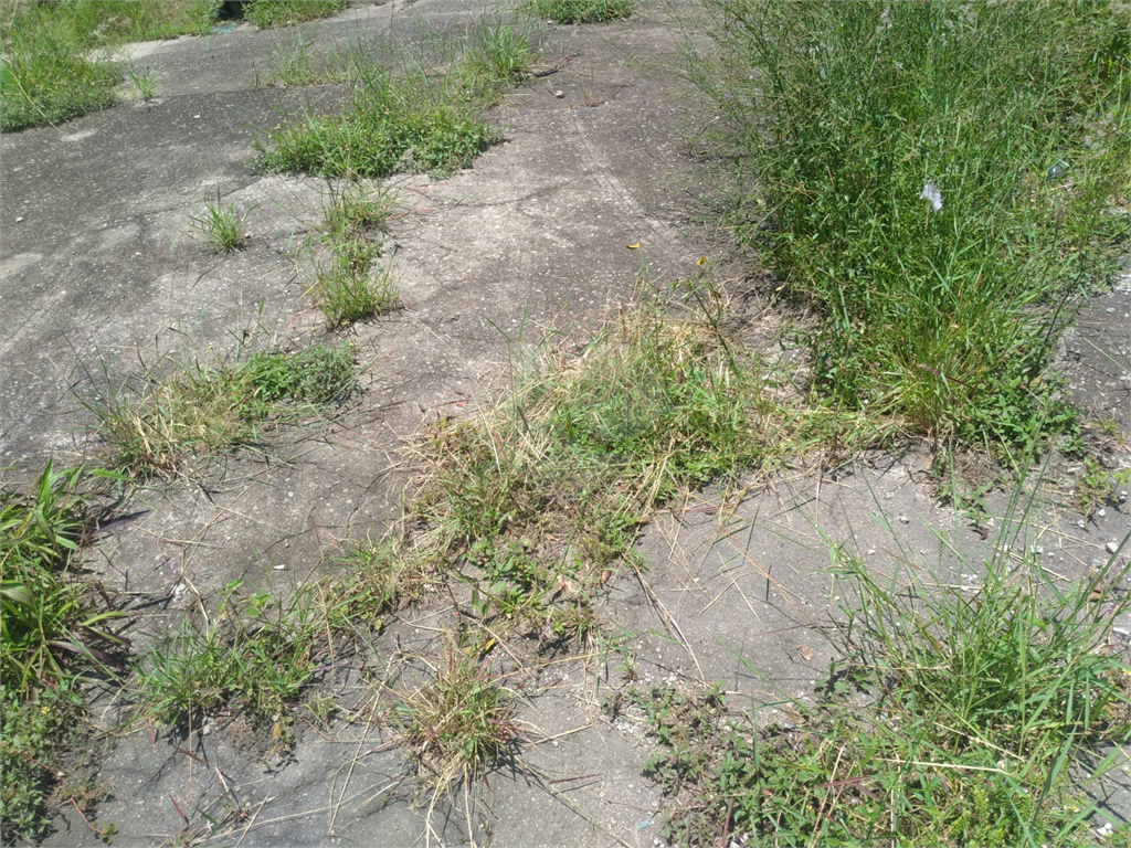 Terreno Barra funda .