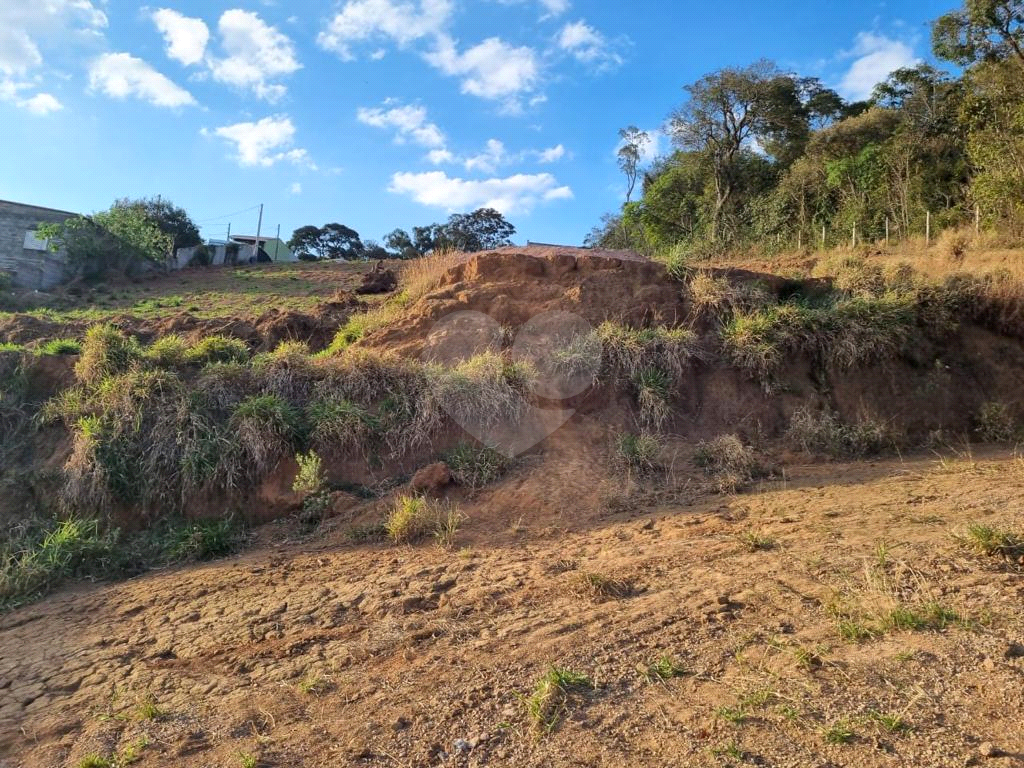 Terreno à venda, 2600m² - Foto 6