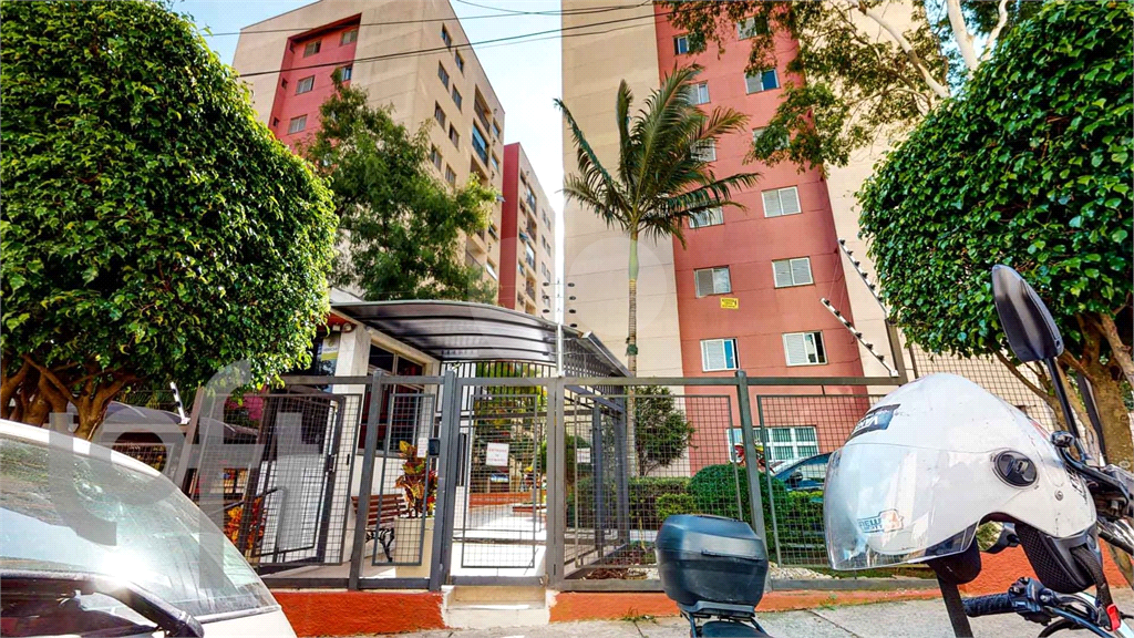 APTO EM SACOMÃ SUPER REFORMADO A PREÇO DE OPORTUNIDADE!